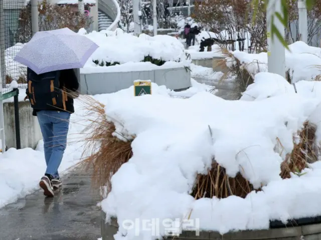 11月に「記録的大雪」全国各地で事故多発＝韓国