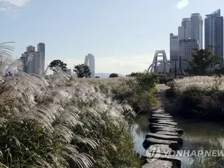 新潟の市民交流団　交流協定都市の韓国・蔚山を訪問