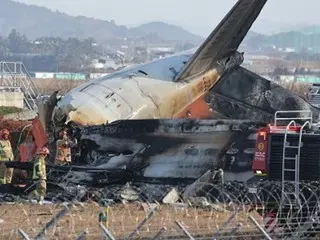 務安国際空港旅客機惨事「バードストライクが原因」vs「それでは説明できない」…事故原因について専門家たちの意見は様々＝韓国