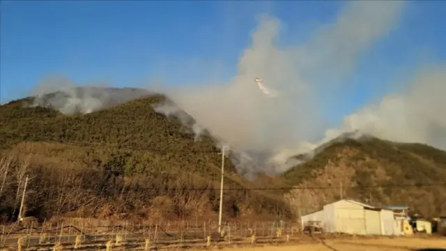 大邱で発生した山火事、消火率50%... 夜間消火体制に転換＝韓国