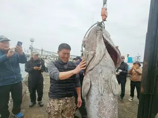 韓国・済州島で１８３センチの巨大イシナギ漁獲　「伝説の深海魚」