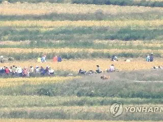 北朝鮮の２４年農作物収穫　洪水発生も「良好」＝国連機関