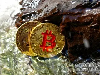 先月、ビットコイン採掘企業の時価総額が22％蒸発…市場低迷の影響