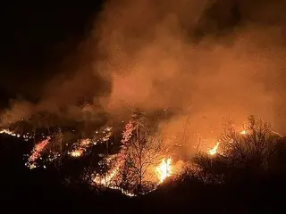 韓国で山火事が同時多発　４人死亡・６人重軽傷