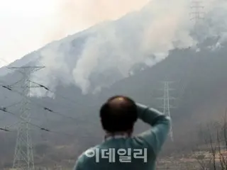 慶北義城郡の山火事…墓参り客の失火が原因か＝韓国