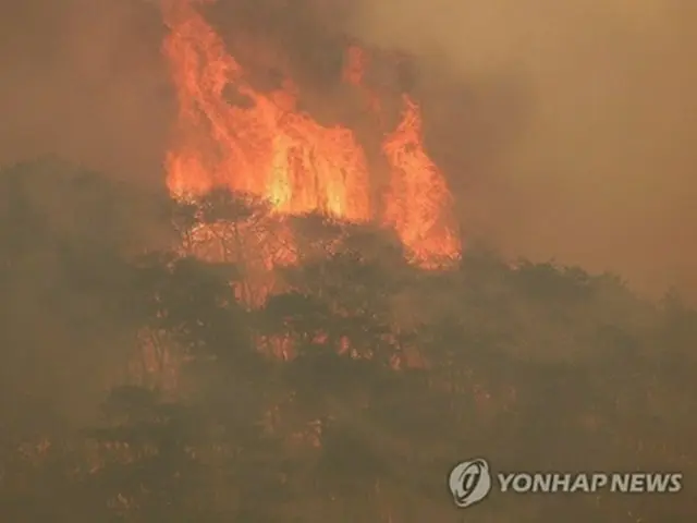 韓国政府　大規模山火事で新たに３自治体を特別災害地域に