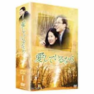 愛しているなら～インターナショナル・ヴァージョン～DVD-BOX1