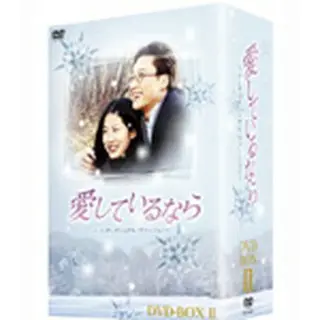 愛しているなら～インターナショナル・ヴァージョン～DVD-BOX2