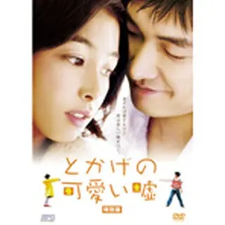 とかげの可愛い嘘 DVD（プライスダウン）