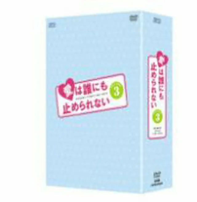 愛は誰にも止められない DVD-BOX３