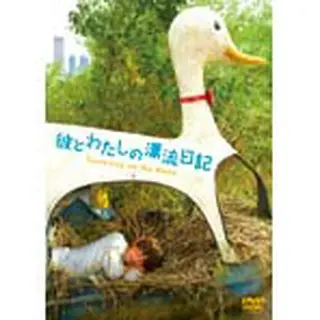 彼とわたしの漂流日記 DVD