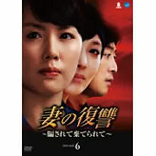 妻の復讐～騙されて捨てられて～ DVD-BOX６