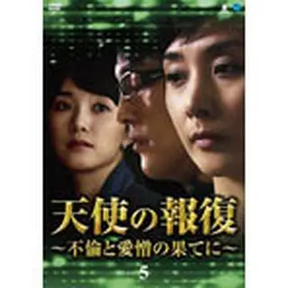 天使の報復 ～不倫と愛憎の果てに～ DVD-BOX５