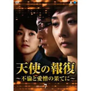 天使の報復 ～不倫と愛憎の果てに～ DVD-BOX７