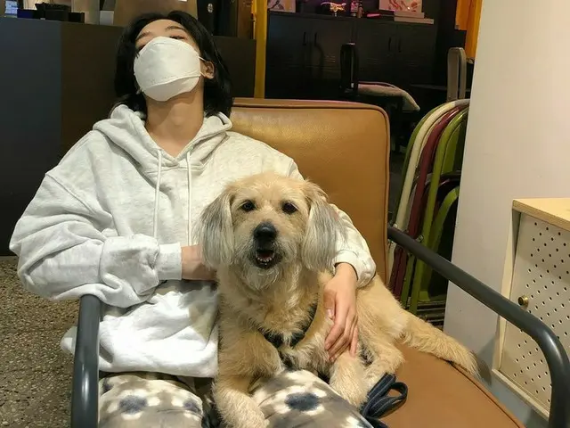 「梨泰院クラス」出演女優イ・ジュヨン、愛犬とナチュラルでボーイッシュな魅力爆発