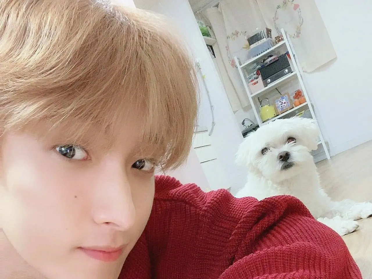 SEVENTEEN」ドギョム（DK）、愛犬と共にしたほのぼのした日常