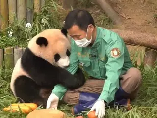 「飼育員のカンさんがプーバオに言われたい言葉」