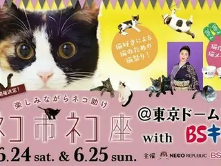 「ネコ市ネコ座」⾏列ができる最⼤級ホゴネコイベント開催！