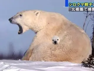 合成ではない写真。