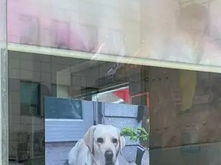 突然無理やり自慢しているペットの飼い主たち