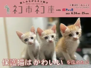 保護猫はかわいい！を広めるイベント「ネコ市ネコ座＠東京ドームシティ with ＢＳキャッ東」