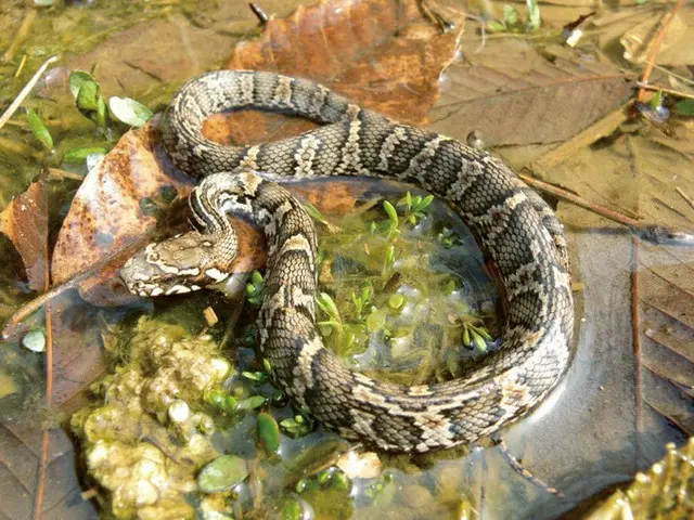 画像＝国立生物支援館