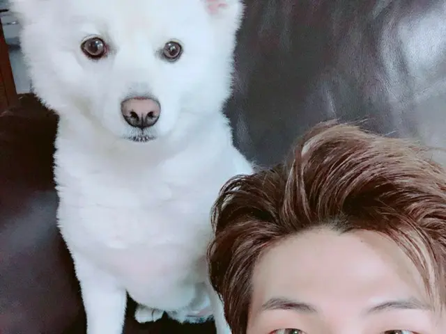 「BTS（防弾少年団）」RM、愛犬ラプモニと悲しい別れ…“家族がまだ克服できない感じ”