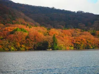 秋に人気の国内の旅行先とスポット