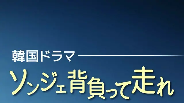 韓国ドラマ「ソンジェ背負って走れ」 キャスト人気TOP10