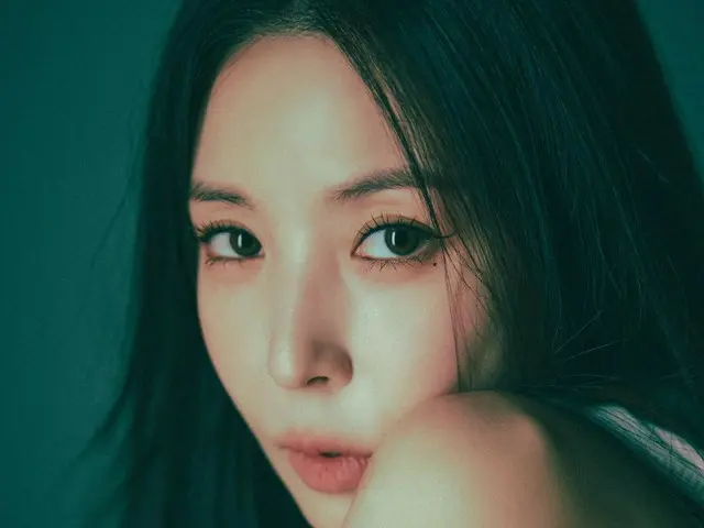 BoA、Instagramを再開…12、13日にコンサート「BoA One’s Own 2024」を開催