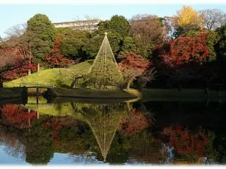 特別名勝・特別史跡の小石川後楽園、紅葉と日本文化を堪能する秋の特別イベントを開催