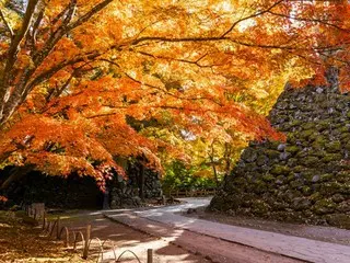 「秋＝楽しむ」! 小諸市の観光スポット・グルメ・見どころ