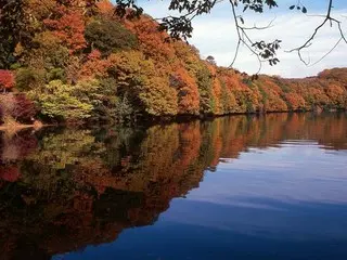 伊東市の一碧湖と丸山公園で紅葉が見頃を迎える