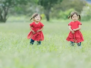 【子育て世帯必見!】神コスパ保険