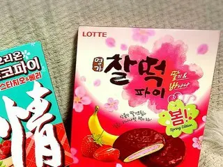 【韓国お菓子】  2019年春限定 チャルトックパイはイチゴバナナ！