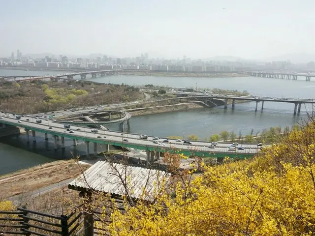 【韓国旅行】レンギョウの花が満開の鷹峰山(ウンボンサン)へ！