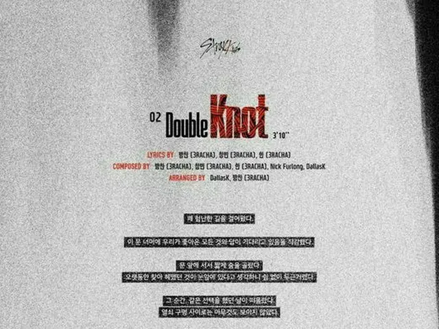 「Stray Kids」、デジタルシングル“Double Knot”のトラックリストを公開！