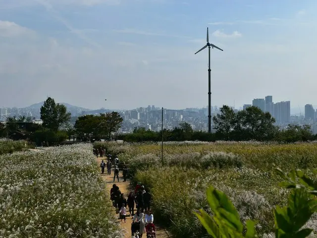 【韓国観光】秋のお出かけでススキフェスティバル中の「ハヌル公園」に行ってきました。